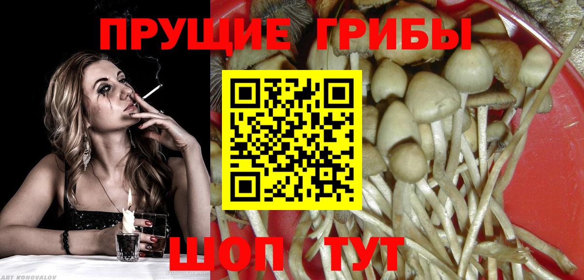 наркошоп  Псилоцибиновые грибы мухоморы  Донецк  Вход с VPN  Псилоцибиновые грибы Magic Shrooms 