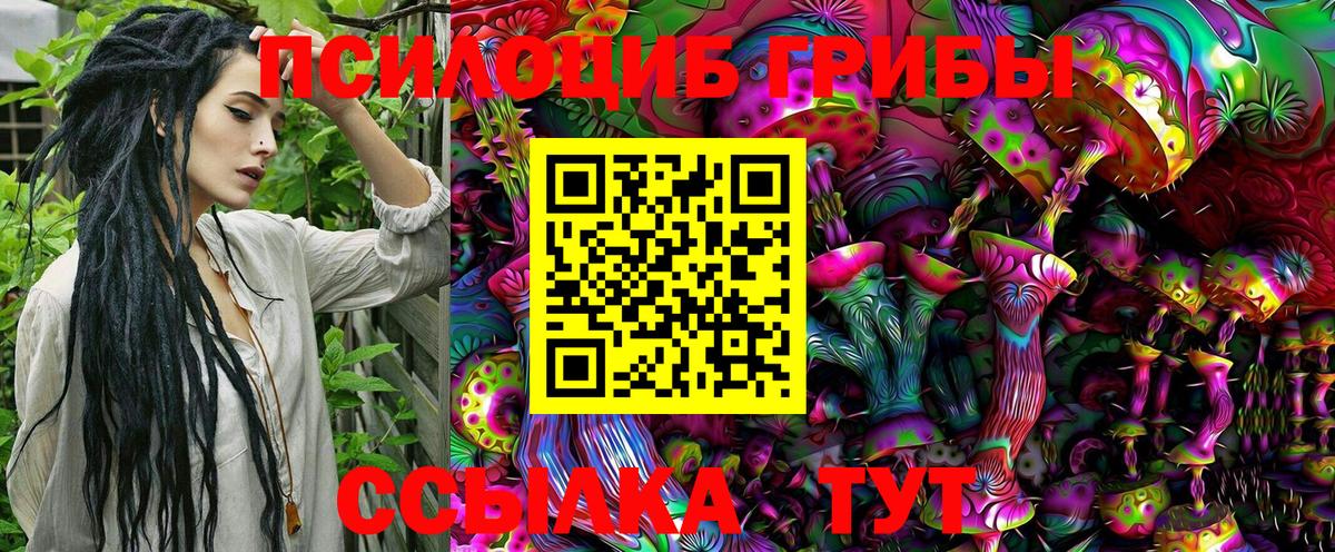Псилоцибиновые грибы Cubensis Донецк